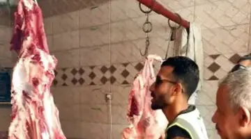 سعر كيلو اللحم البلدي 350 جنيها.. أسعار اللحوم والدواجن بمنافذ الداخلة